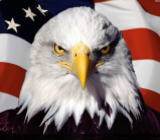 据《联合早报》9月23日消息，美国白宫亚洲政策顾问波廷格将出任副国家安全顾问。