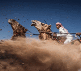 OPEC+内部已敲响警钟！如果油价继续下跌，产油国必然会采取某种价格稳定措施