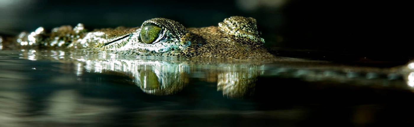 巴菲特  索罗斯  格罗斯  达里奥  麦嘉华  冈拉克  罗杰斯  加特曼 最新消息，美股观点，热点事件点评，美联储加息预期，油价预测，金价预测，最新排名，身价