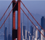 据媒体彭博上周五(6月8日)公布的调查结果显示，原油交易员与分析师转而看空本周美国原油价格走势，此前连续两周分歧较大。在接受调查的36位交易员与分析师中