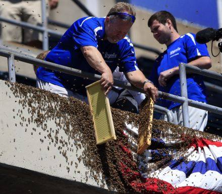 经济显示法国经济复苏势头得到了延续，并恢复增长的韧性