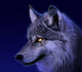 大部分投资者在交易中都有以下的困惑：现实生活中，无意识中，当价格跌了，觉得便宜了，你就会想去买，再跌再买……不断买，等过了好长一段时间，才发现自己是在逆势做多；同样，当价格涨了，你就会想去空，再涨再空……不断做空，等过了好长一段时间，才发现自己是在逆势做空。而且始终无法克服这种思想，根深蒂