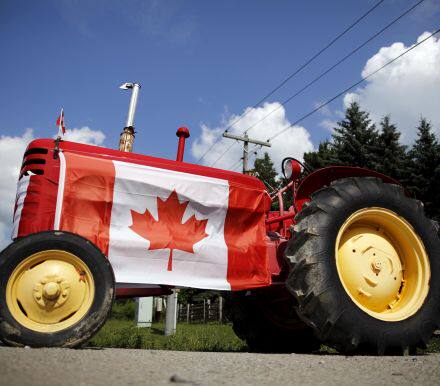 加拿大央行将公布1月利率决议，并发表货币政策声明，美银美林、野村证券...