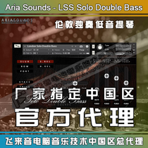 Genuine Aria Sounds LSS Solo Double Bass London solo low tone violin soft sound source
