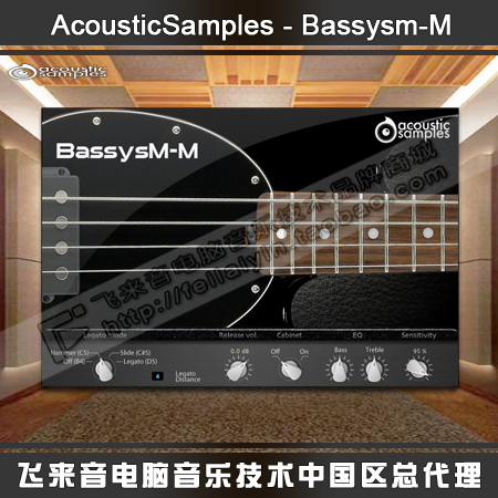 Acoustic Samples Bassysm-M Electric Bass Tone Bass Soft Source Plugin
