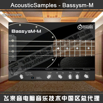 AcousticSamples Bassysm-M electric bass tone bass soft sound source plug-in