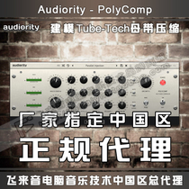 Genuine Audiority PolyComp