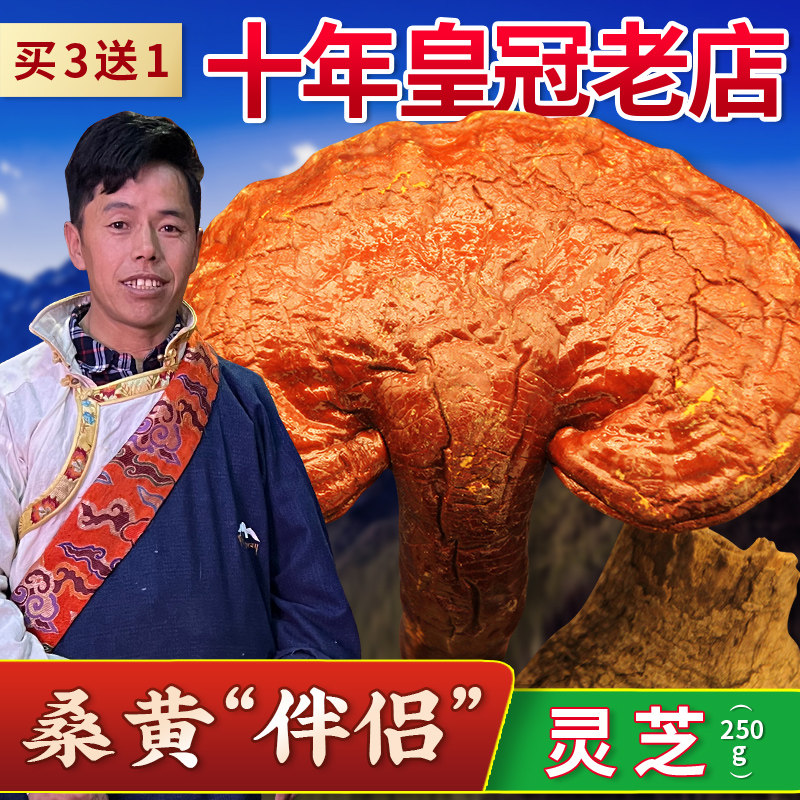 Tibetan area direct wild Ganzhi Red Lingchi Chili Chi Zip 250g Tibet Xianu selected dry goods