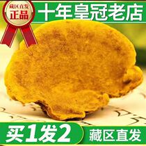 Tibet Ships Wild Sanghuang Lingzhi Autonomous Region Xiaonus 13-year-old store focusing on Sanghuang super-grade total 500g