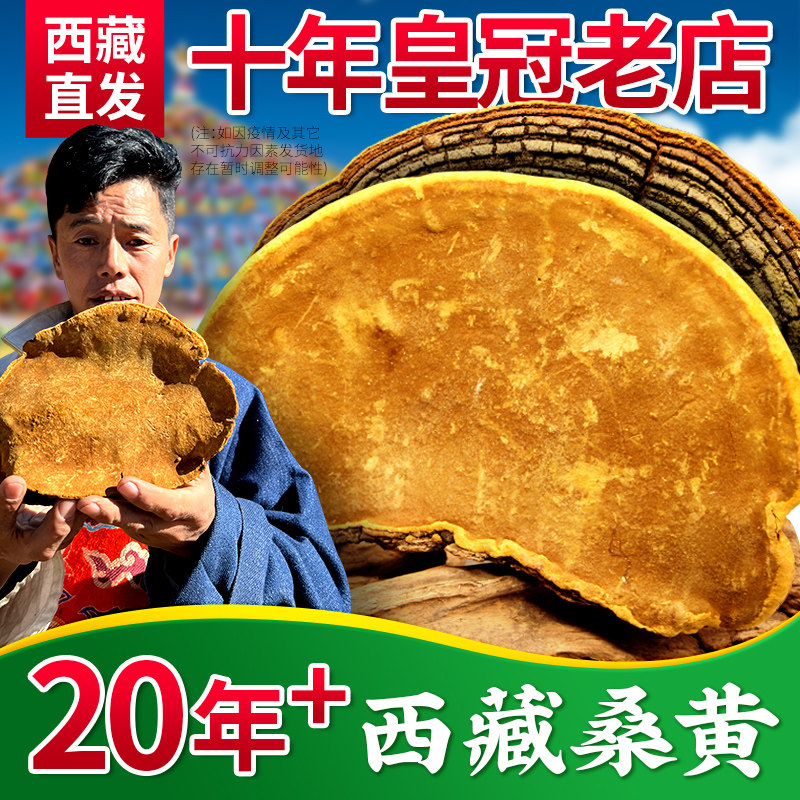 Tibet straight hair) wild big mulberry yellow Tibet Xiaonu 13 years Ganoderma lucidum selection 250g not 500g