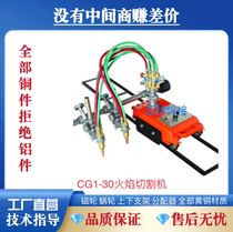 CG1-30 100 cutting machine gas cutting machine for small turtle