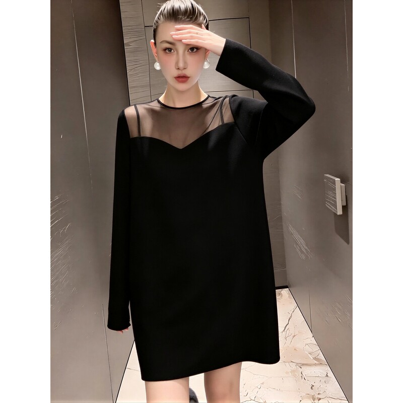 Black Mesh Long-Sleeve Dress for Women, 2026 Autumn Fashion Design, Slimming and Elegant Little Black Dress