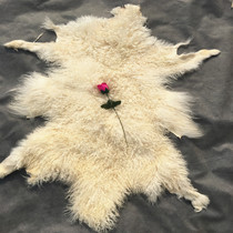 Beach Sheepskin sofa cushion Pure wool blanket Carpet Fur one-piece cushion Bedside mattress Bay window wool pad whole