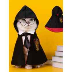 Halloween Dog Clothes, Popular Cat Cape, Spring and Autumn Outfit, Magic Academy Harry Potter Cloak, Pet Shawl