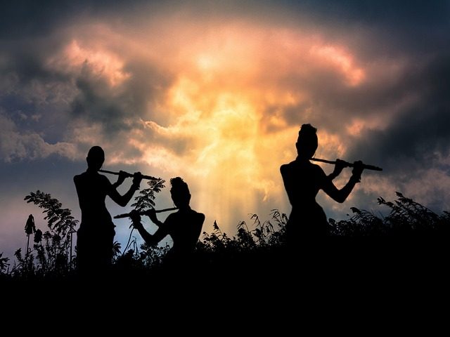 how much does a flute cost