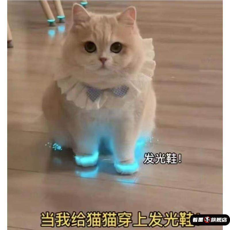 Светящаяся обувь для кошек, игрушки, обувь для домашних собак, детская обувь, светящиеся детские игрушки, ночные аксессуары для фото и видео Изображение 1
