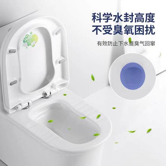 New Model Large-Diameter Dual-Purpose Squatting and Sitting Toilet with Stand, Suitable for Home, Hotel, and Engineering Projects, Anti-Odor Ceramic One-Piece Toilet