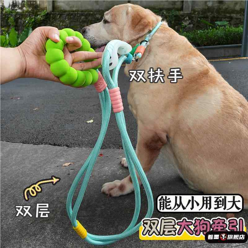 Thickened and Reinforced Large Dog Leash, Anti-Shock Collar, Labrador P Chain, Sturdy Dog Leash for Large Dogs, Double-Layer Rope