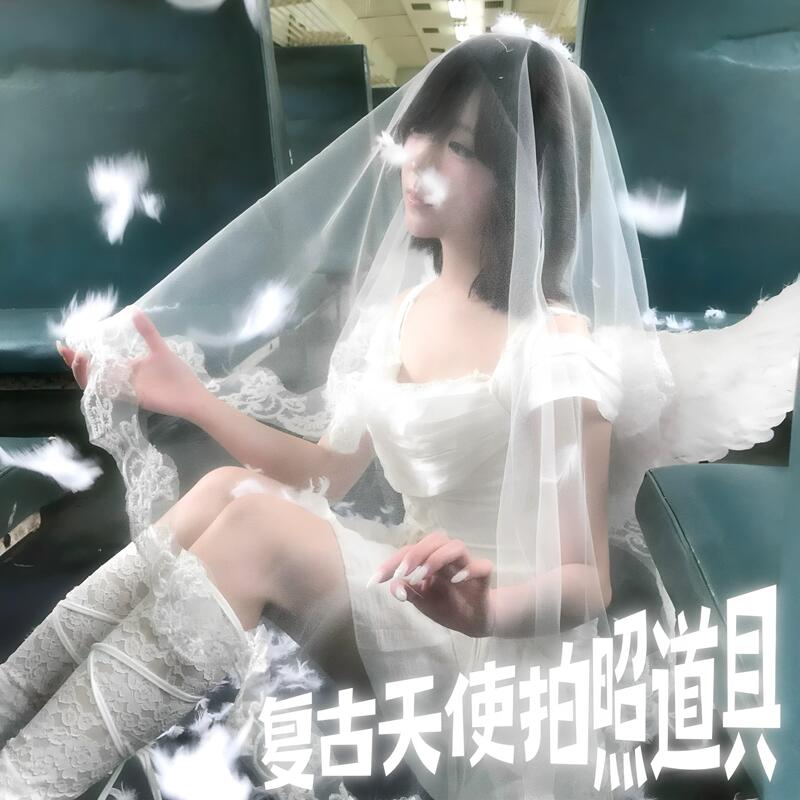 [Sin and Love in Harmony] Angel Feather Wings Set with Mesh and Feather Atmosphere Props for Photo Shoots