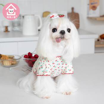 Autumn and winter home cute cherry pet clothes cat and dog clothing pet clothing teddy clothes manufacturer