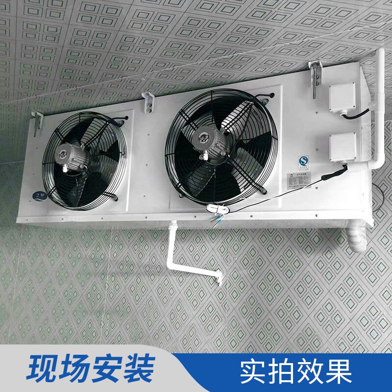 Dl/Dd/Dj Ceiling-Mounted Air Cooler Type Evaporator Electric Defrosting Air Cooler Cold Storage Internal Refrigeration Equipment Dl/Dd/Dj Ceiling-Mounted Air Cooler Type Evaporator Electric Defrosting Air Cooler Cold Storage Internal Refrigeration Equipment