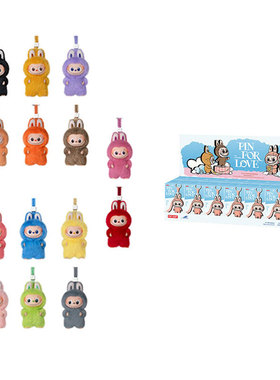 泡泡玛特 POP MART labubu 心底密码系列 THE