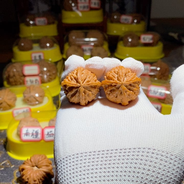 Apple orchard 4 edges