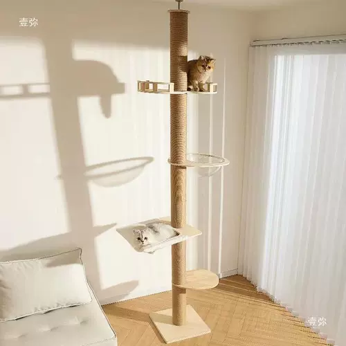 Кошка поднимает стойку тиаааааааааааааааааааааааааааааааааааааааааааааааааааааааааааааааааааааааааааааааааааааааааааааааааааааааааааааааааааааа
