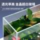Narrow Screen Partition Fish Tank with Ultra-Clear Crystal Glass for Balcony, Office Desk, Tv Cabinet, Long Strip Landscaping, Betta Fish