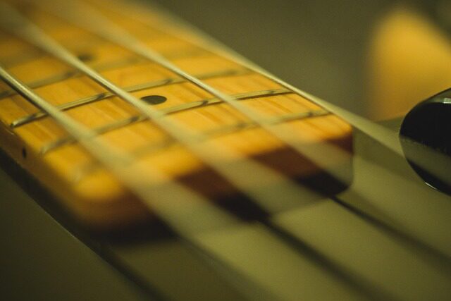 is donner a good guitar brand