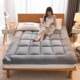 Single mattress thickened three-dimensional feather velvet mattress padded tatami mat student single dormitory