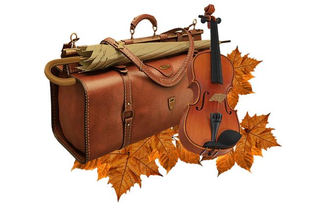 is a fiddle a violin