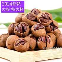 2024 new arrival Linan hand peeled pecan large seed extra large seed small walnut kernel 500g spicy pregnant women snack nuts