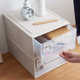 Yangyang Fish Storage Box Desktop Drawer Plastic Thickened Office and Household Debris Multifunctional Creative Simple Multi-layer