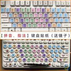 Capsule 및 Pinyin Homophonic 영어 편지 데스크탑 키보드 스티커 노트북 편지 초보자를위한 키 스티커 파티션