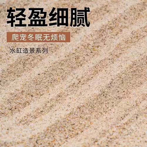 Натуральная пляжная игрушка, песок, натуральный зимний декор для аквариума