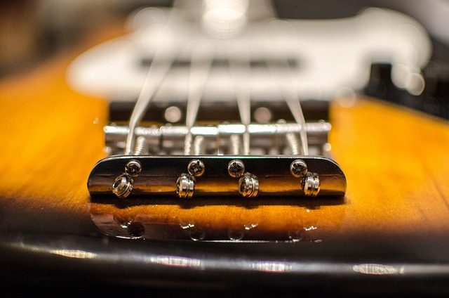 who owns pro bass shops