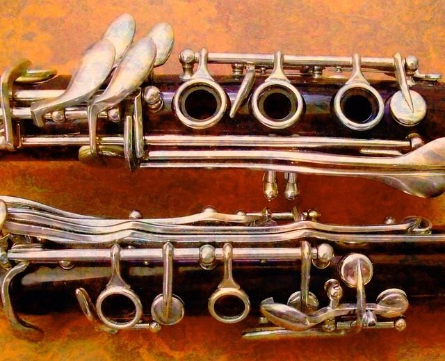 what does a clarinet look like