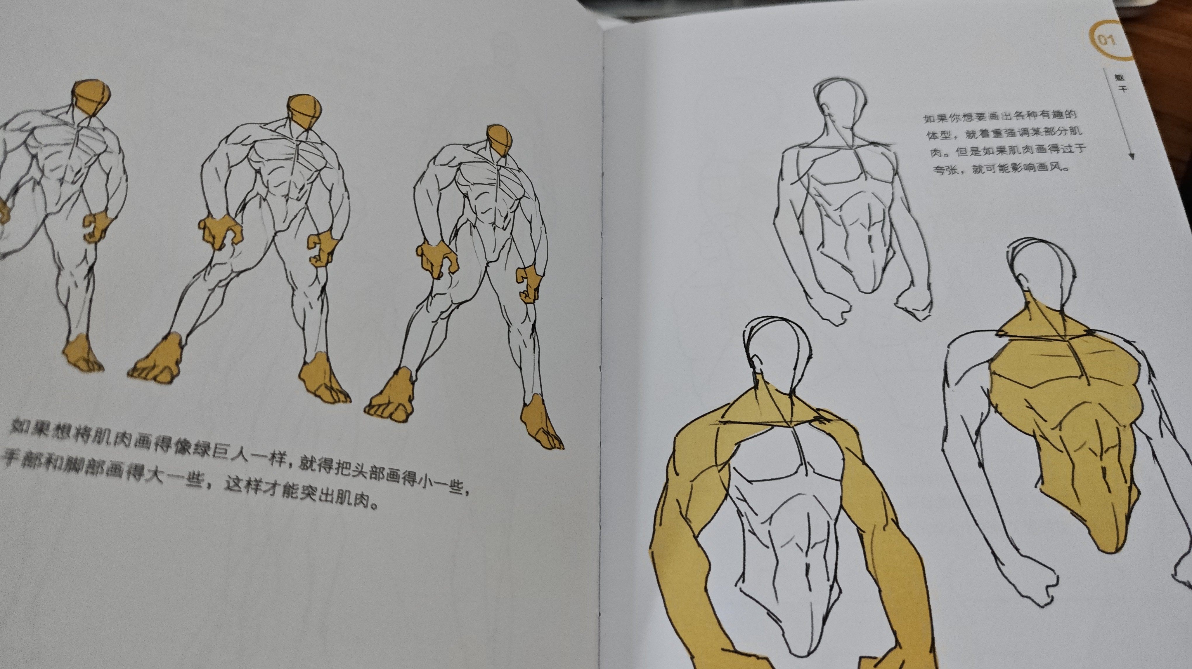 男人人体结构正面画法- 抖音, image size:4080x2292