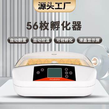 Manufacturer of 56 pieces of chicken, duck and quail incubator breeding incubation equipment smart home small and medium-sized egg incubator