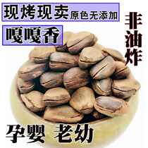 Red pine nuts new Northeast specialty open pine nuts extra large particles original flavor hand peeled artificial pine seeds in bulk 500g