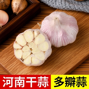 河南农家新干蒜5斤大蒜头多瓣干蒜0.5斤起整箱新鲜蔬菜 包邮