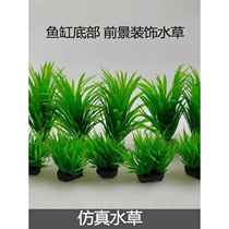 Зеленые небольшие водные растения украшение дна аквариума водные растения водный ландшафтный дизайн на переднем плане водные растения ландшафтный дизайн черепахового аквариума имитация водных растений