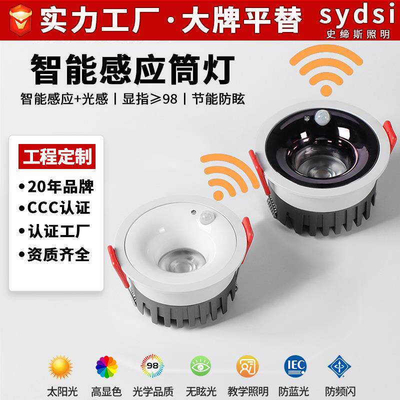 Embedded human body sensor downlight Zhongshan infrared entrance corridor home living room corridor aisle sensor spotlight