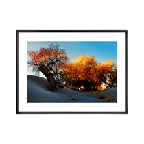 (Framed) Stamped limited edition print by professional photography artist Na Ji (Mozhong Autumn Yellow)
