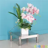 Один из нержавеющей стали однослойный стол -столовая стойка для стойки молока