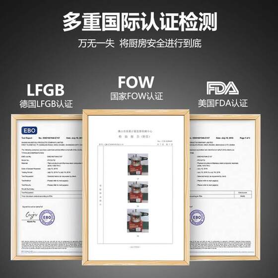 2021 New Model Pressure Cooker, High-End New Type Pressure Cooker for Home Use, Gas-Powered, Small Size, Explosion-Proof