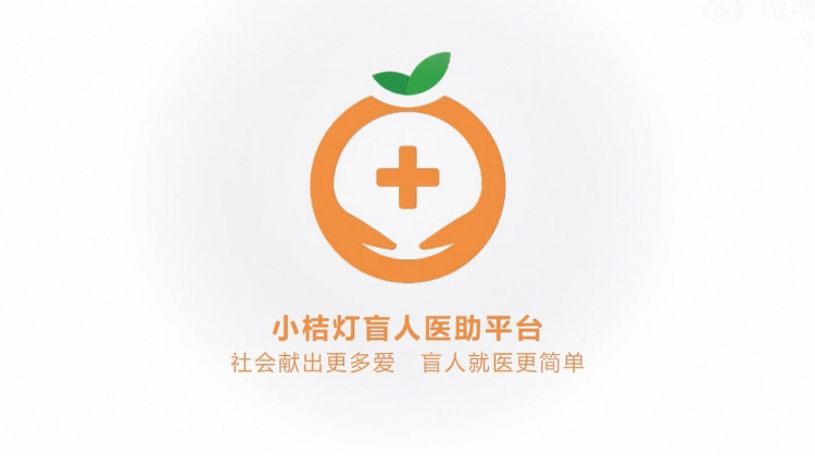 盲人无障碍AI导诊系统