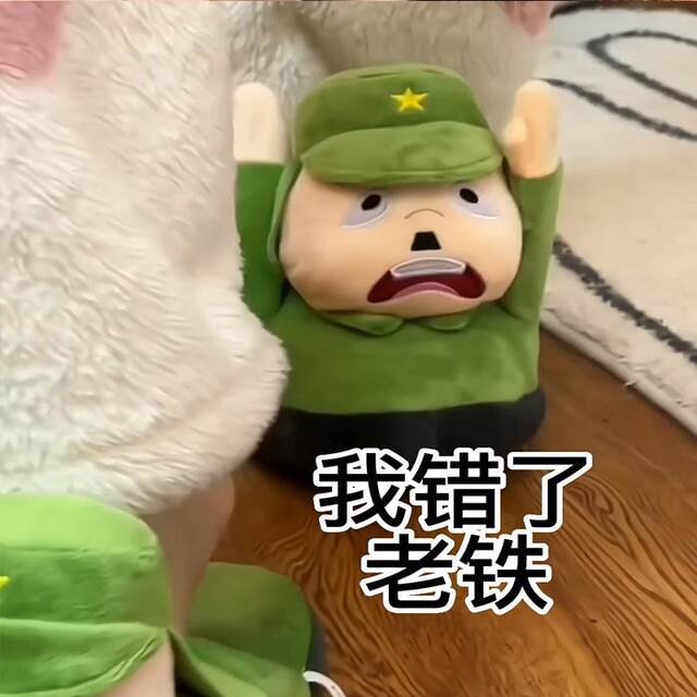 Apology Slippers for the 