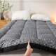 Feather Velvet Soft Mattress Student Dormitory Single Bed Mattress Foldable Thickened Double Bed Mattress Pad Tatami Mattress